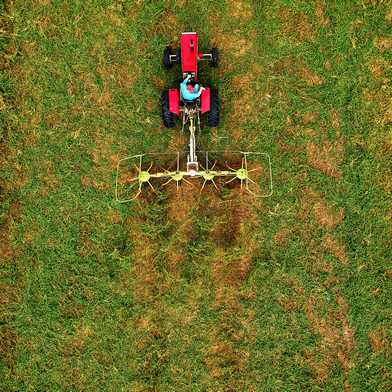 KG Landscaping Maintenence